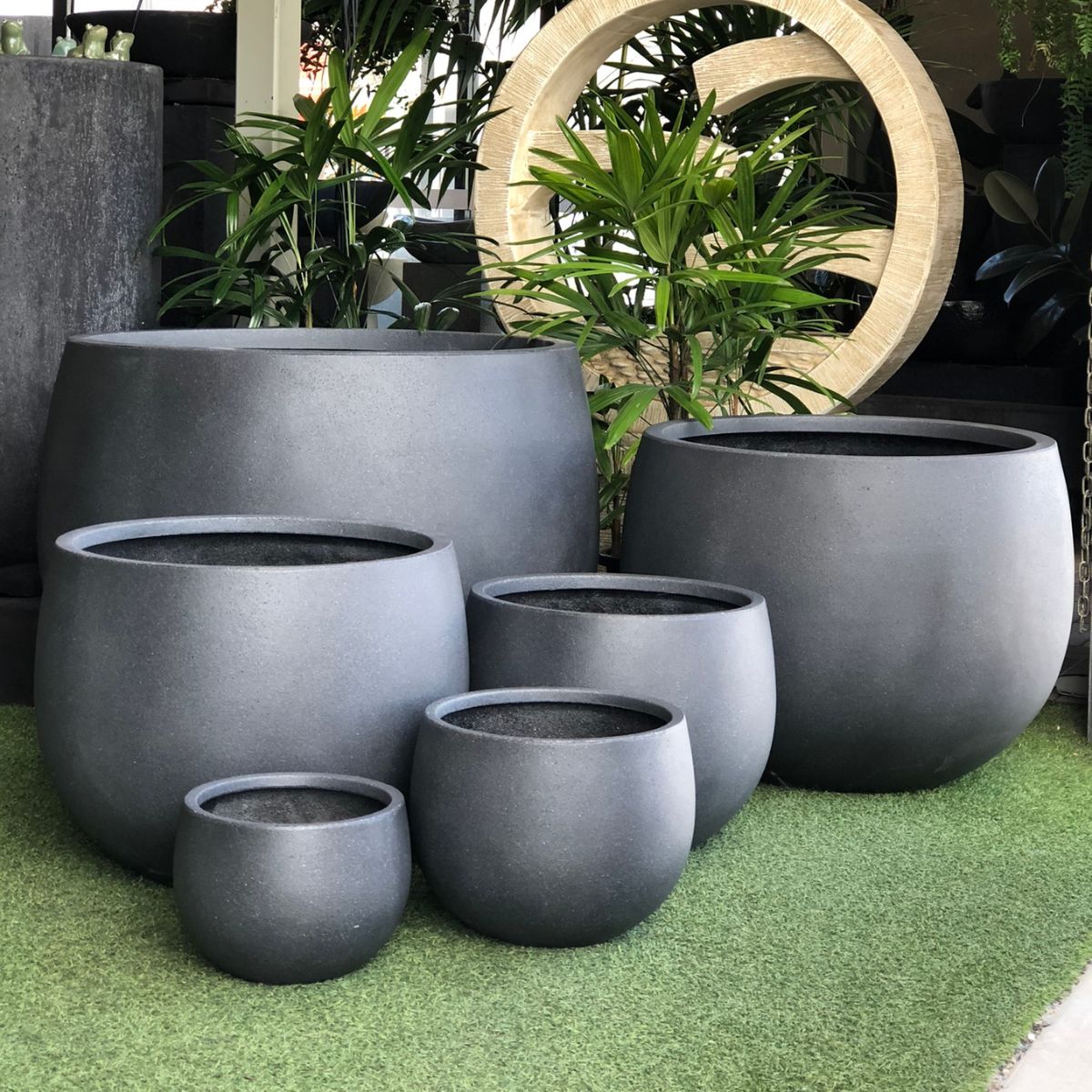 Mega Belly Pot – Sunshine Coast Nursery & Garden Centre